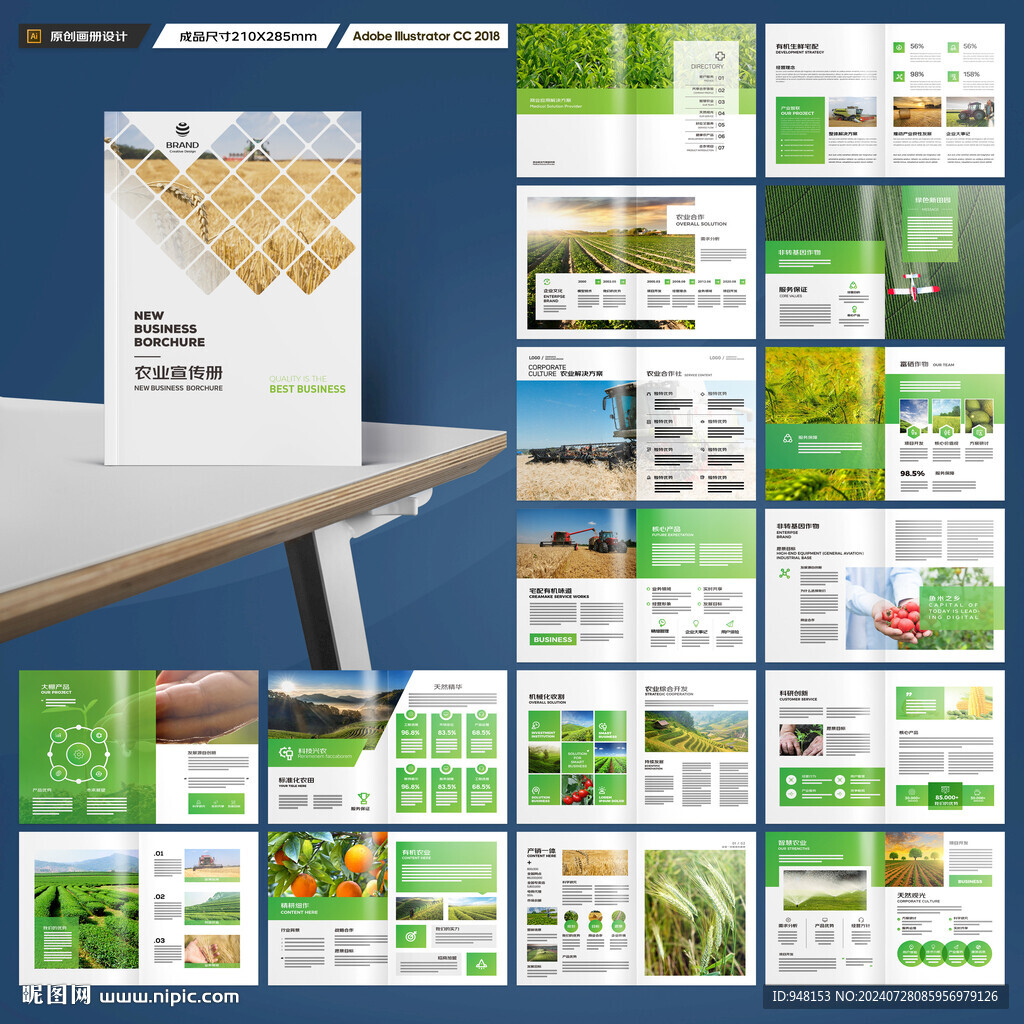 农产品宣传册