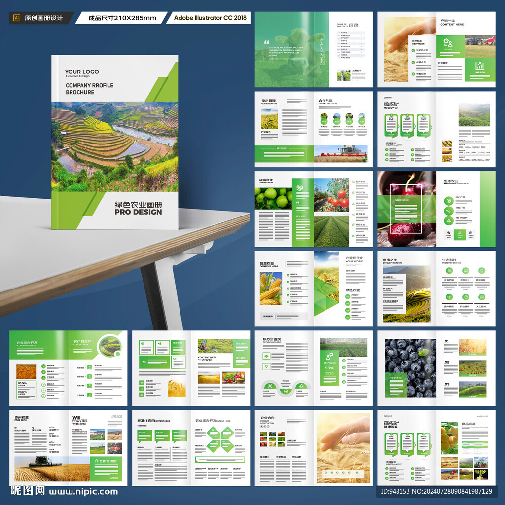 农产品宣传册