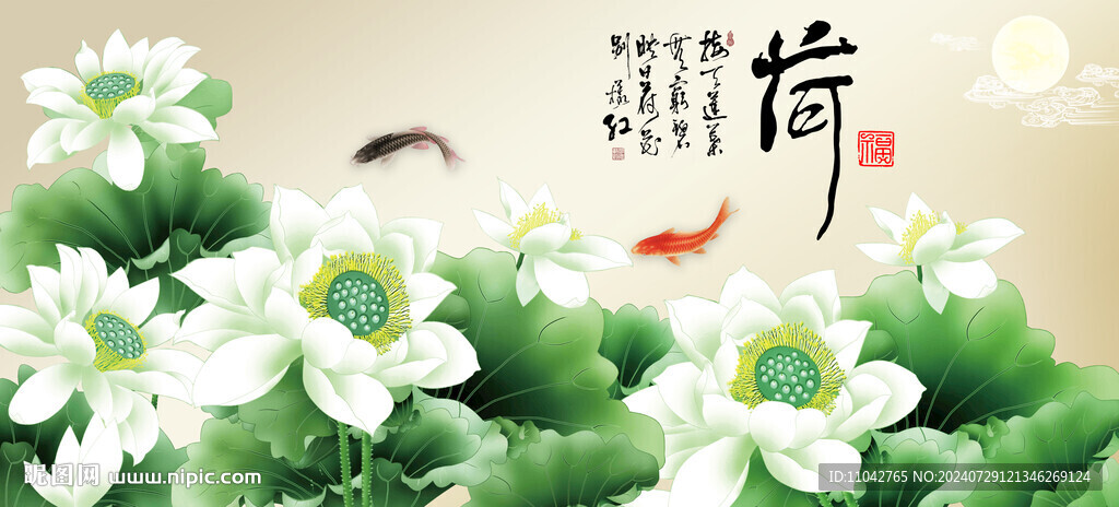荷花