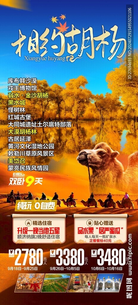 胡杨林海报