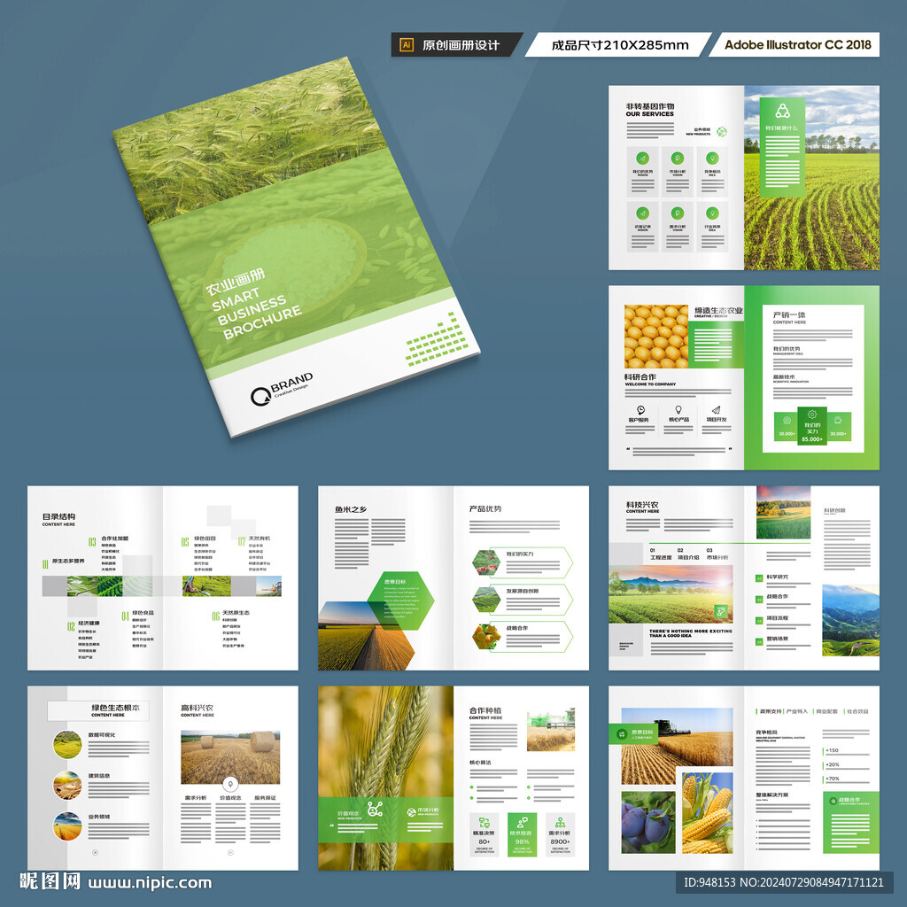 农产品画册