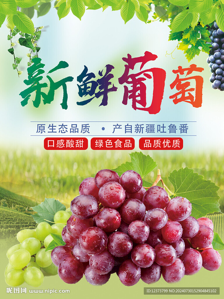 葡萄