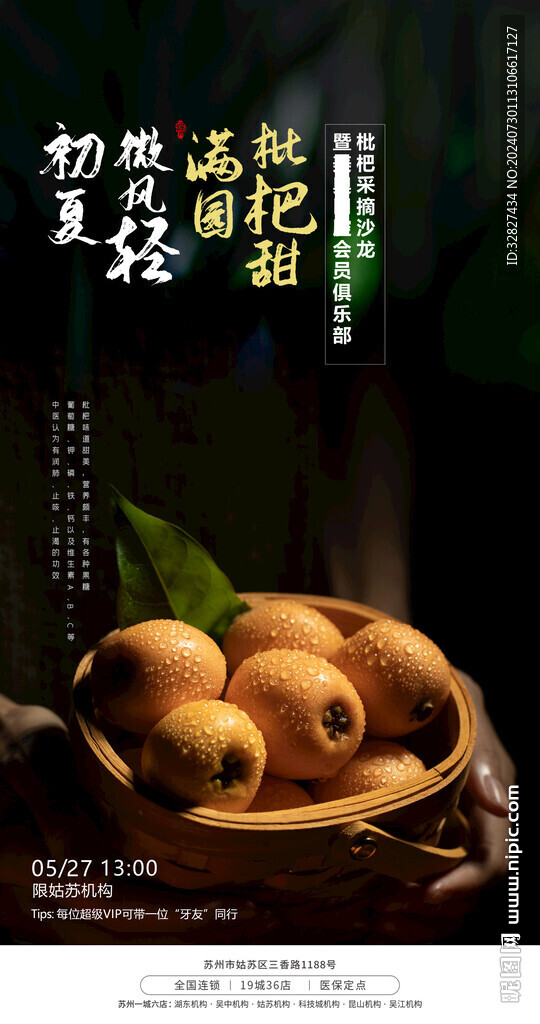 枇杷采摘
