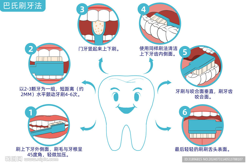 巴氏刷牙法步骤插画