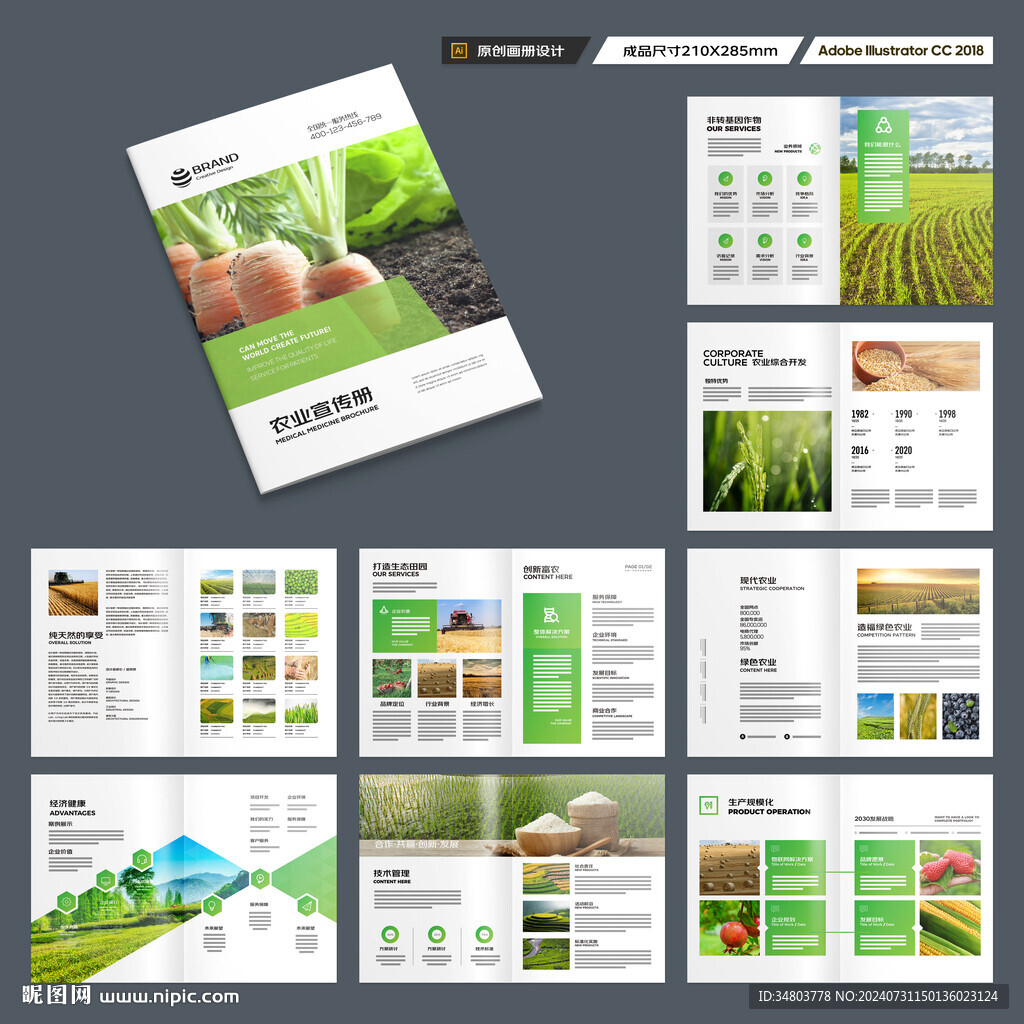 农业宣传册