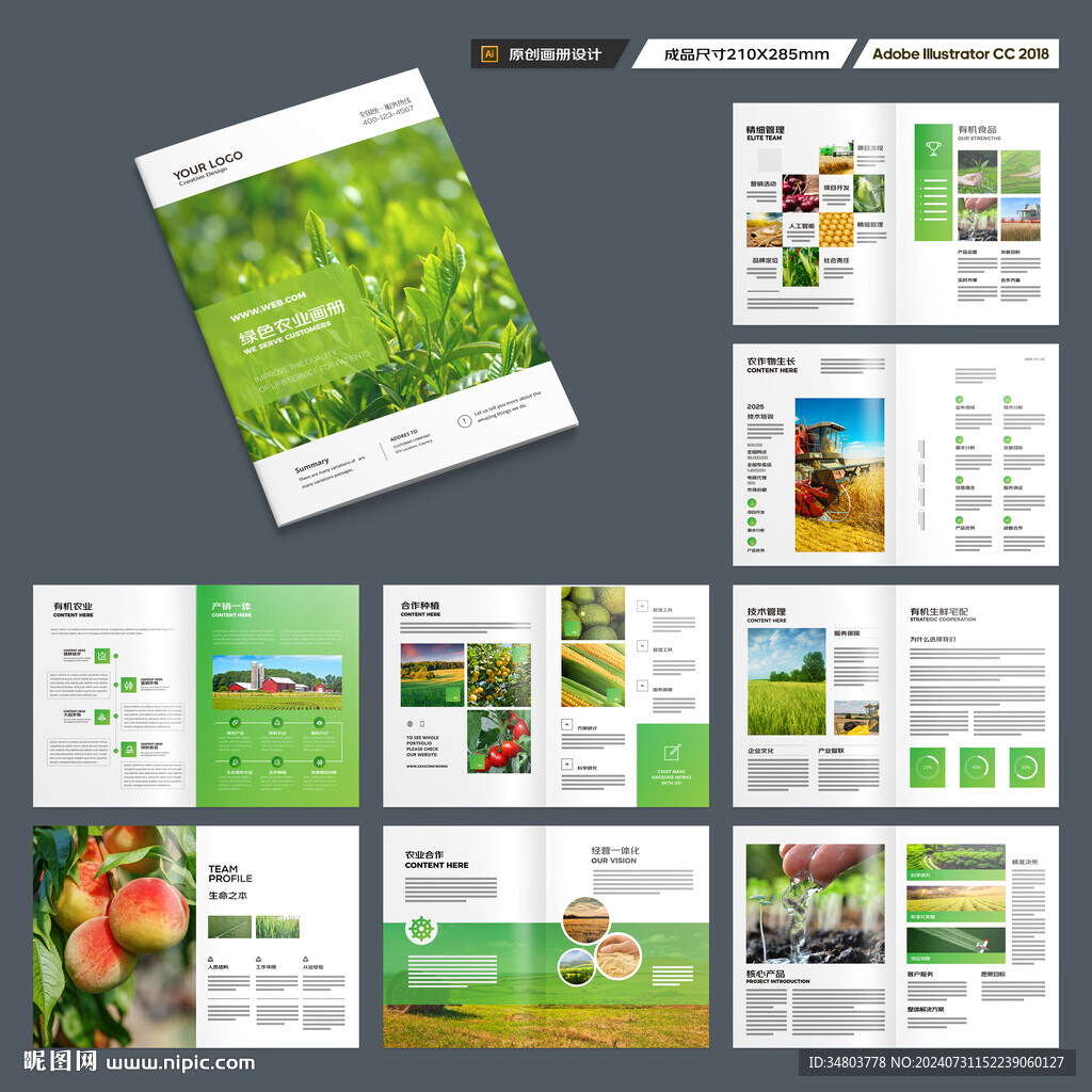 农业合作社画册