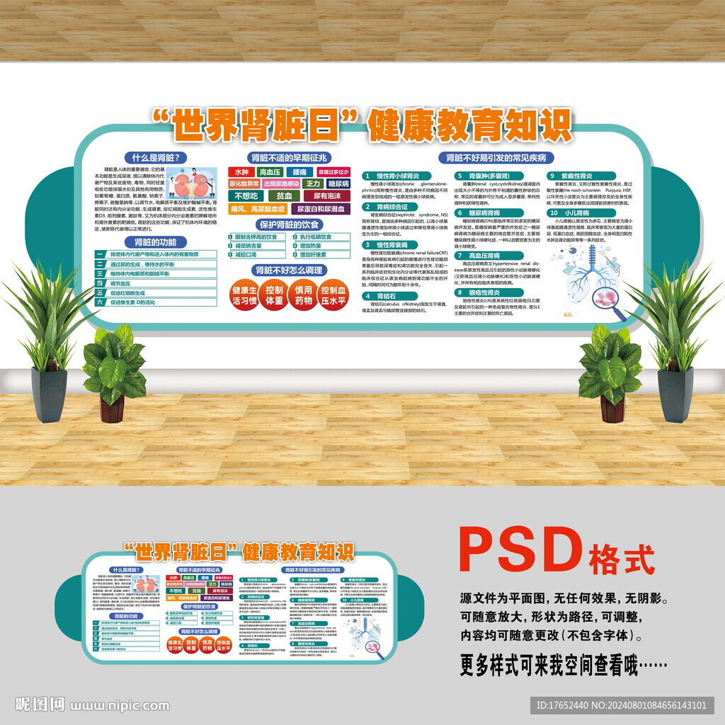 医院文化墙 世界肾脏日