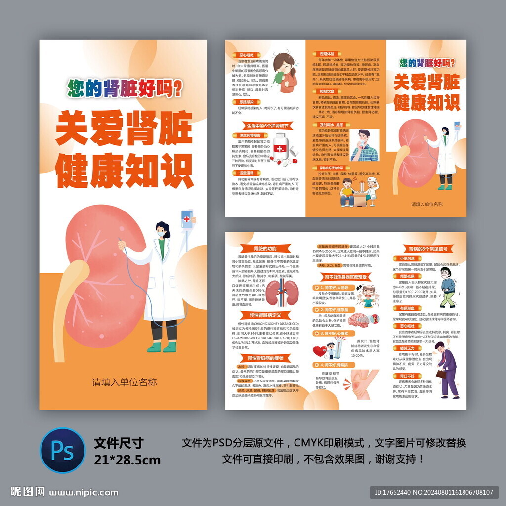 医院三折页 关爱肾脏