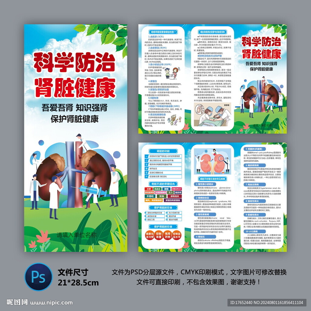 医院三折页 肾脏健康