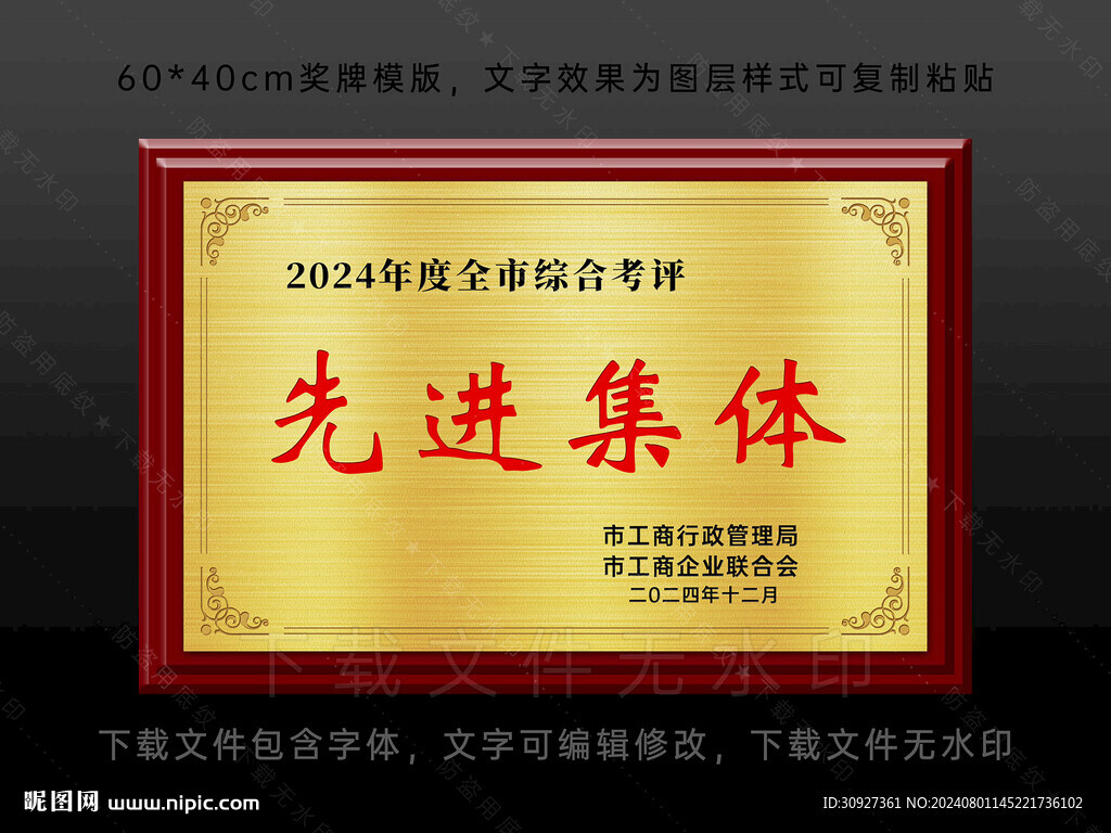奖牌 先进集体