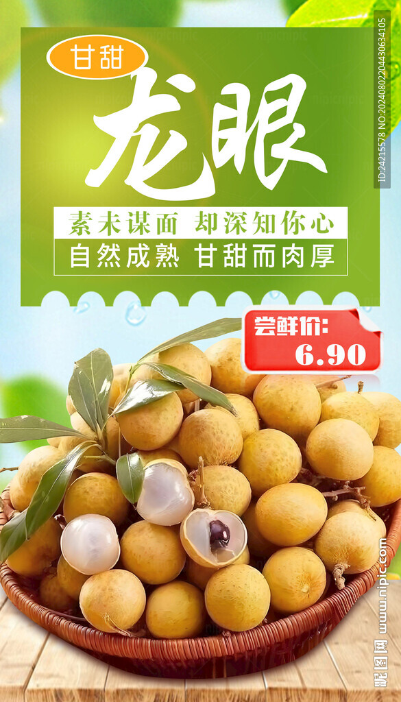 龙眼海报 桂圆