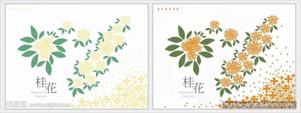桂花
