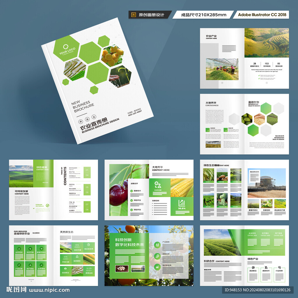 农产品画册