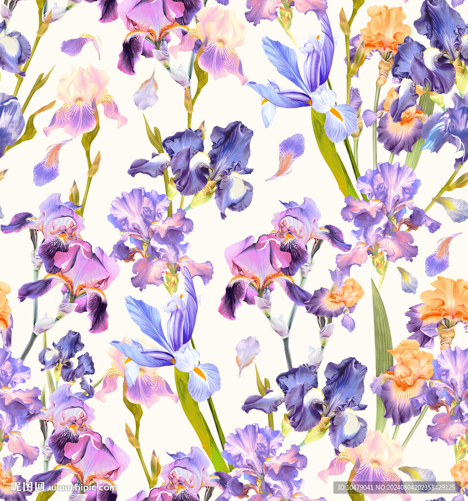 鸢尾花