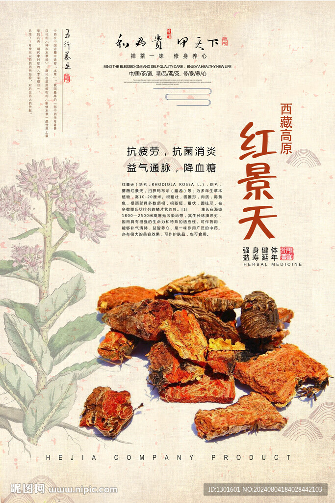红景天中药海报