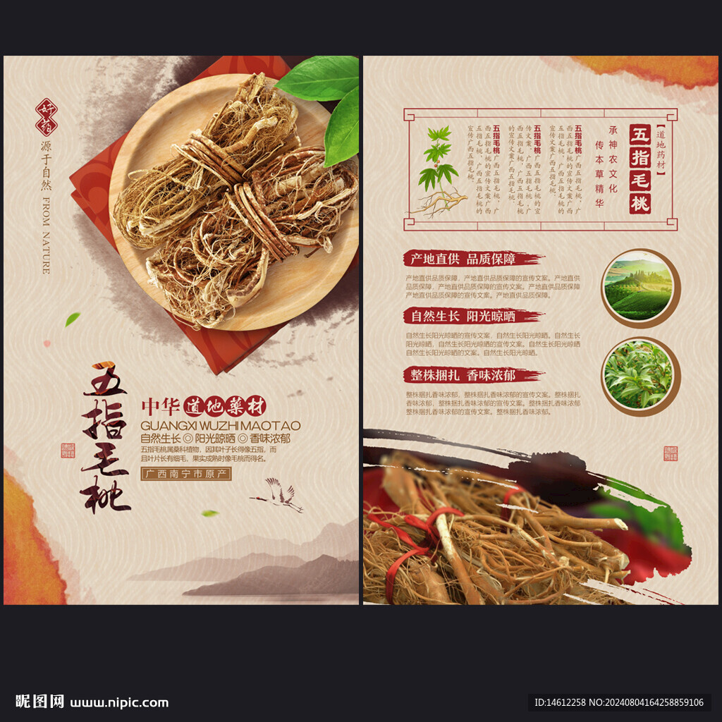 五指毛桃
