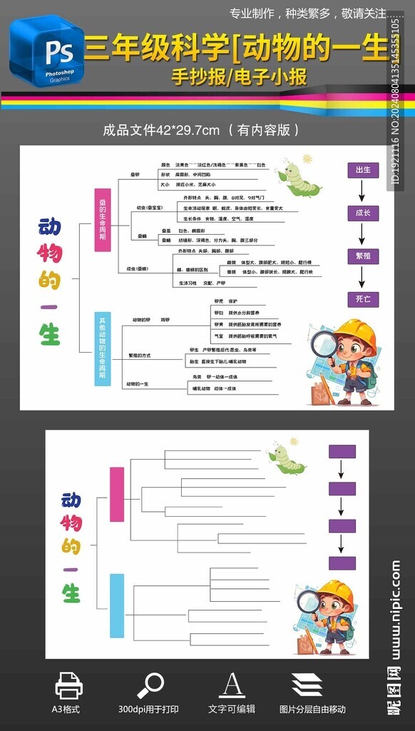 二年级科学动物的一生思维导图