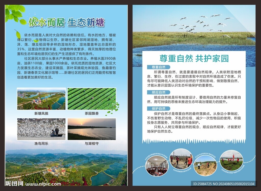 湿地功能