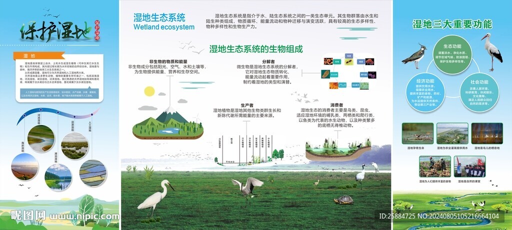 湿地生态系统