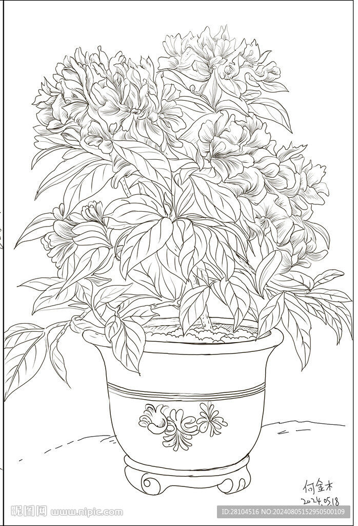 白描花卉 