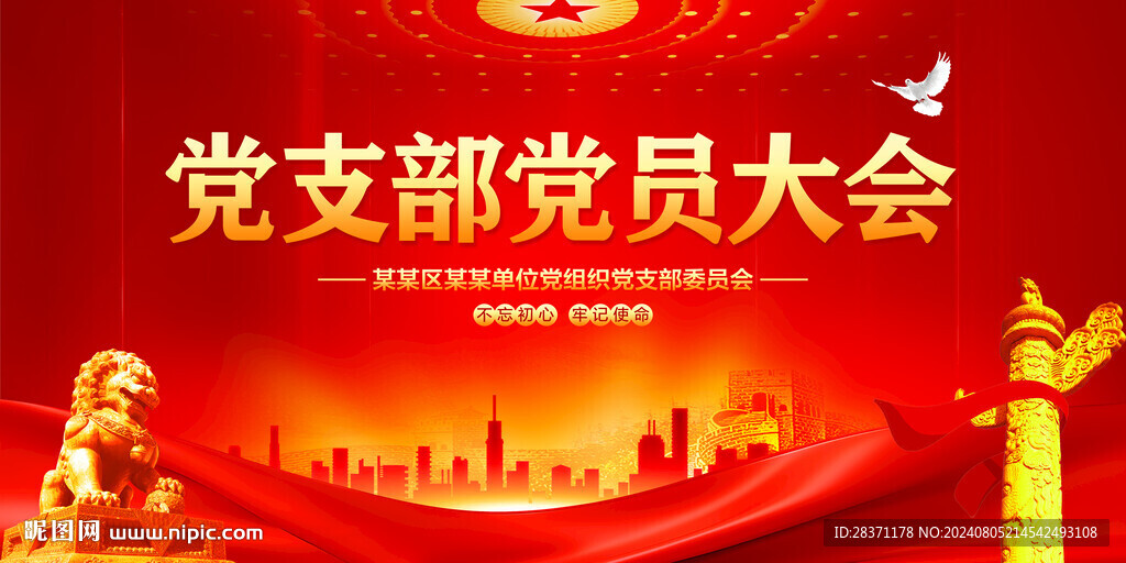 党支部党员大会