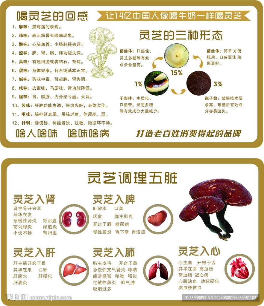 灵芝的作用