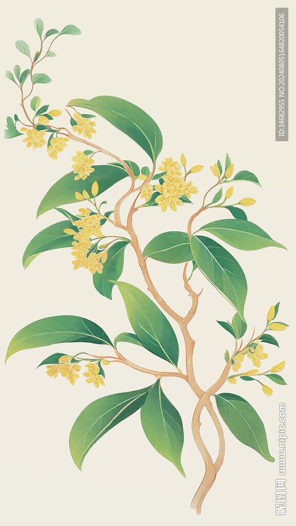 手绘桂花树免扣素材