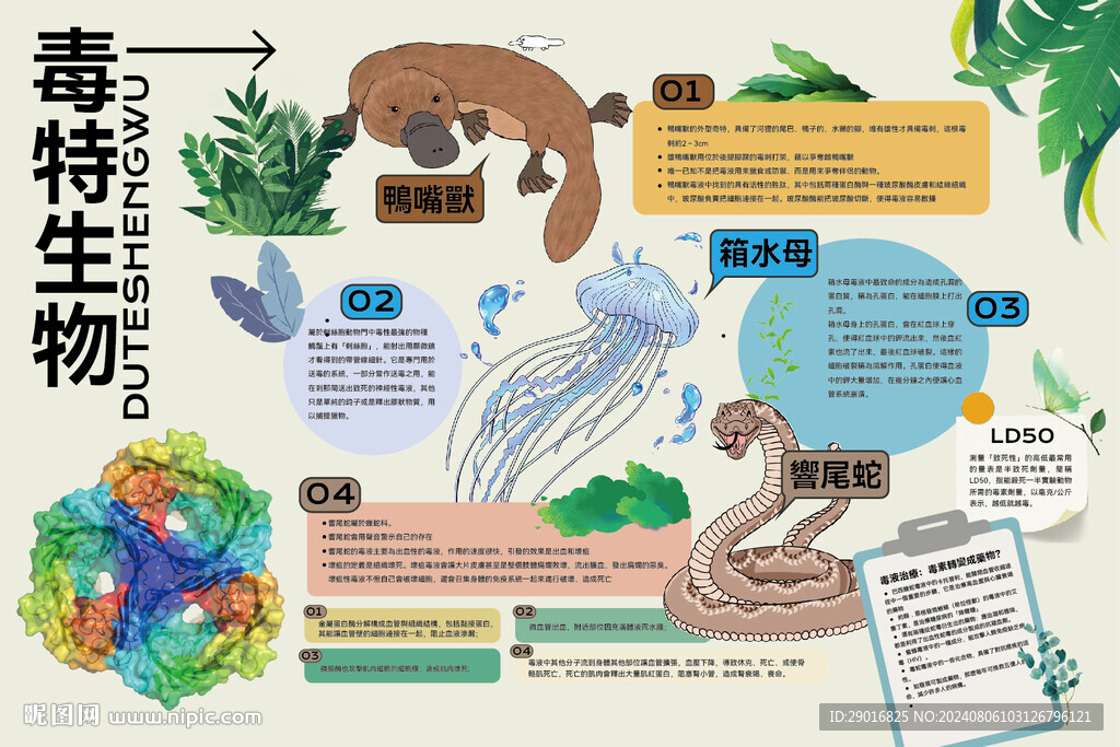 生物百科海报