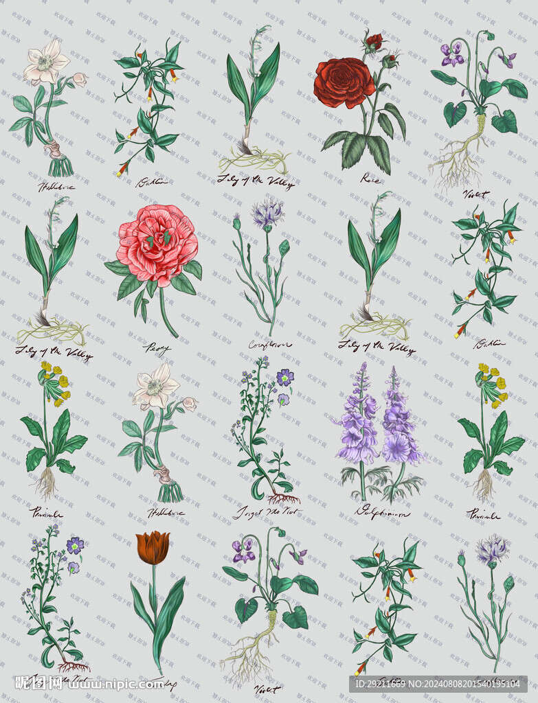 手绘花
