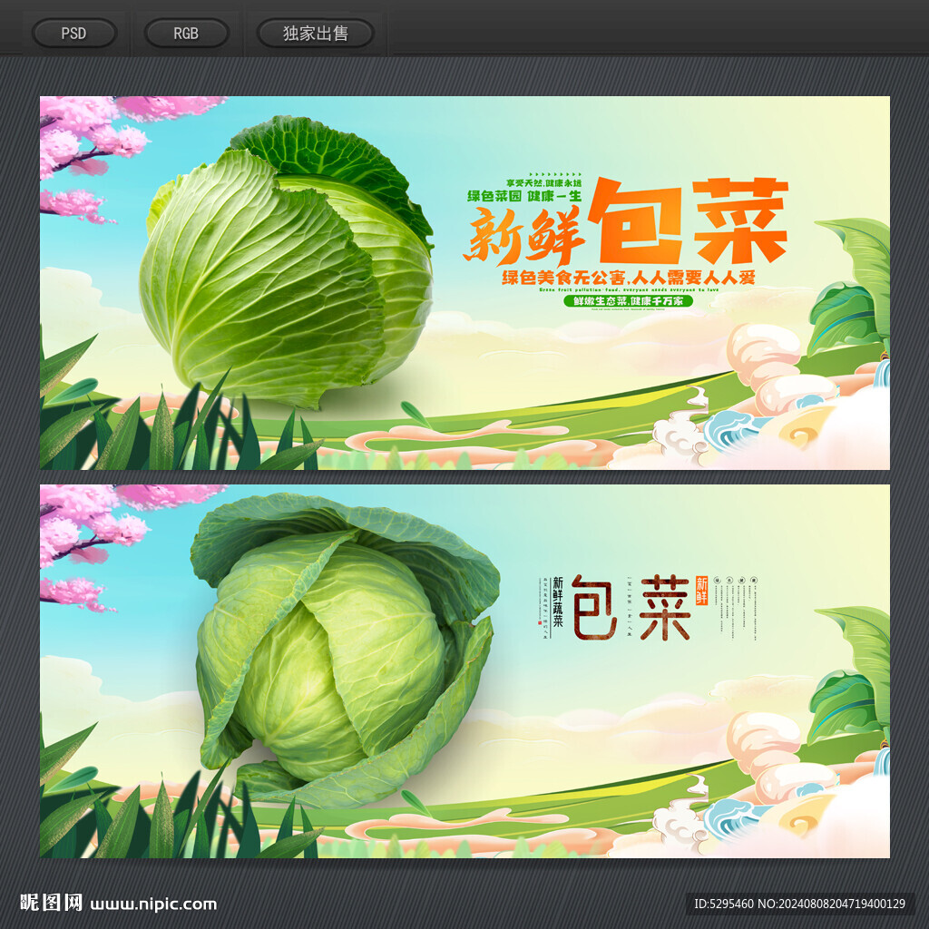 包菜