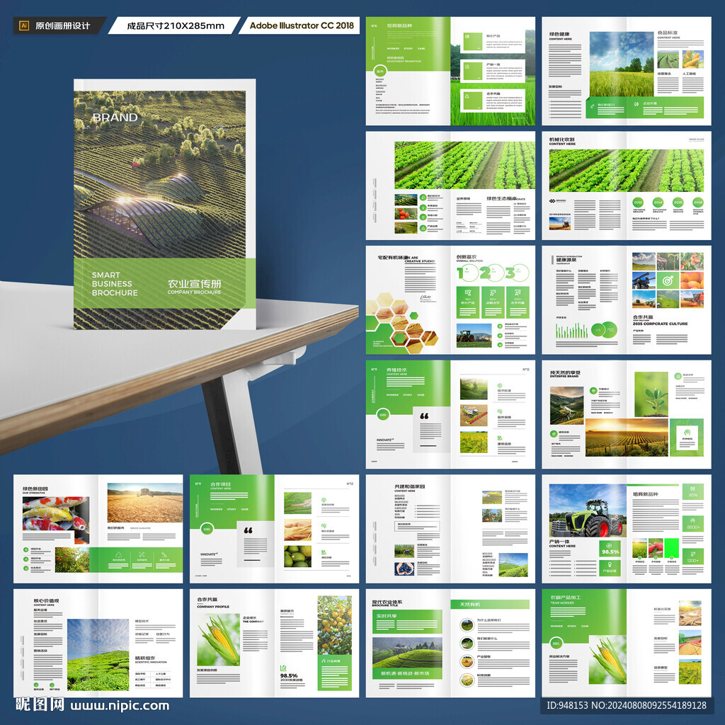 农产品宣传册