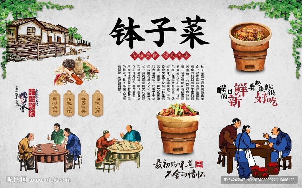 钵子菜