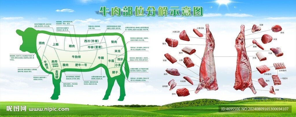 牛肉分解图