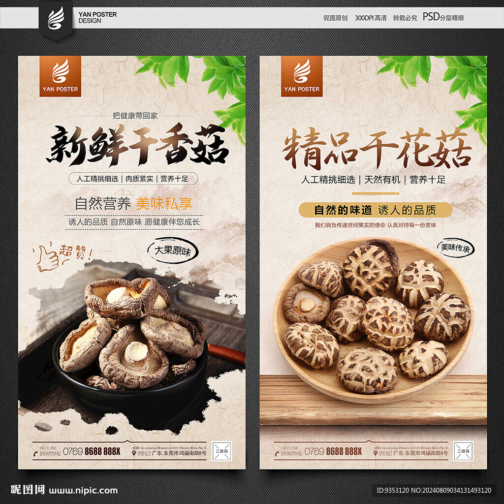 干香菇
