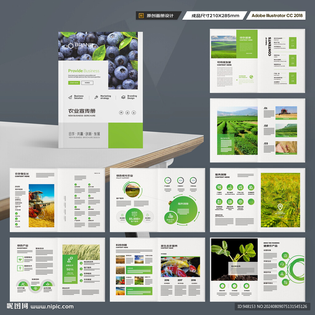 农产品宣传册