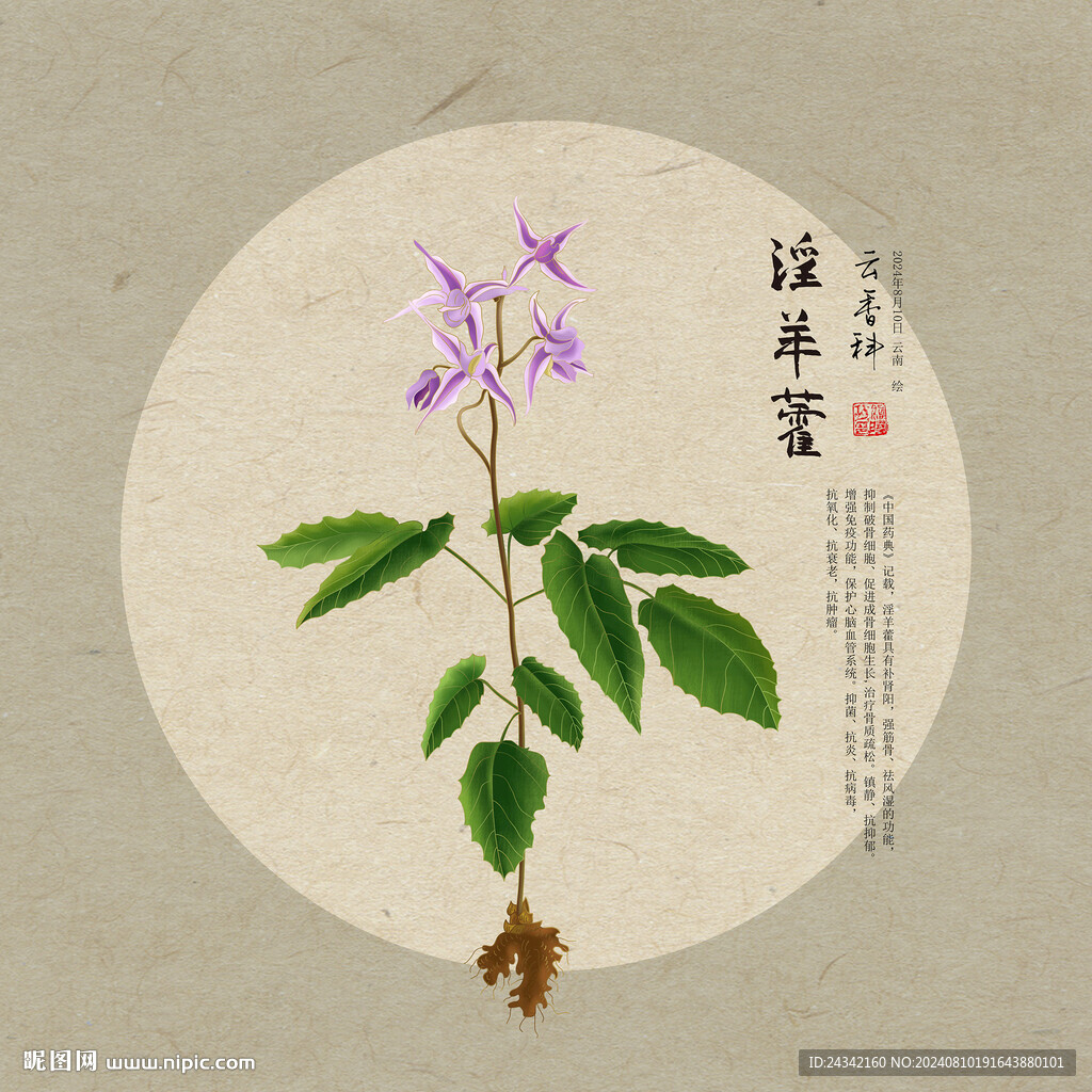淫羊藿