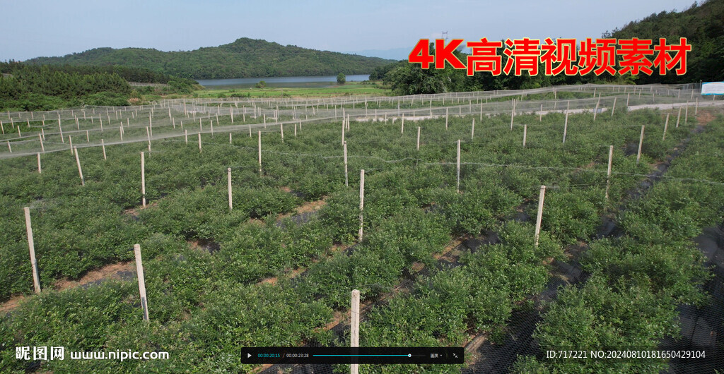 果树园航拍