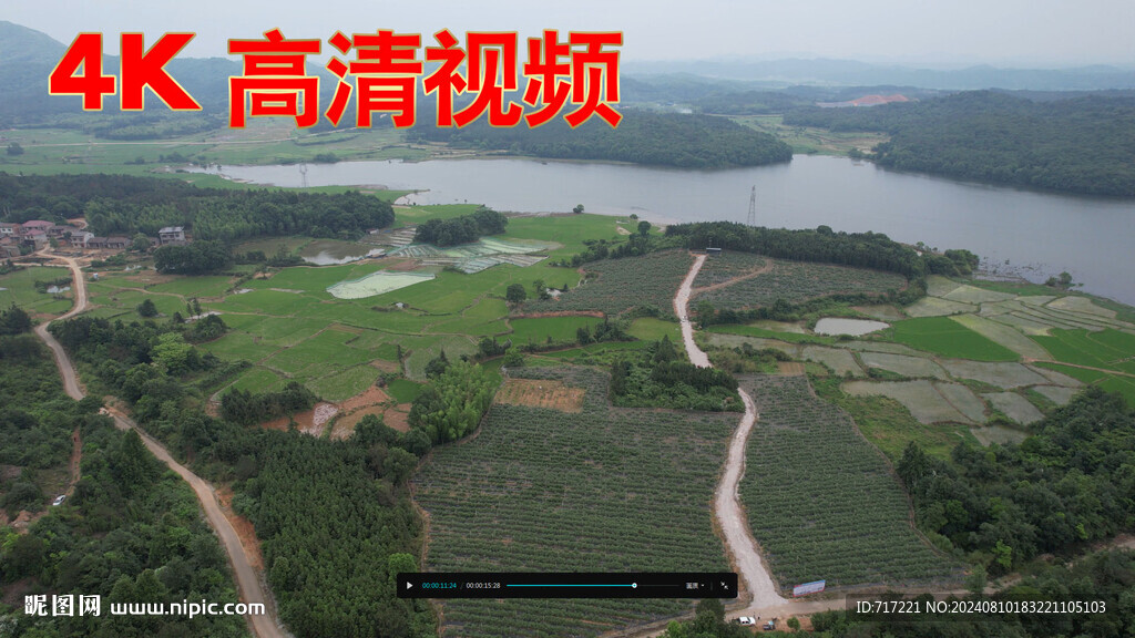 小蓝莓大产业 乡村产业
