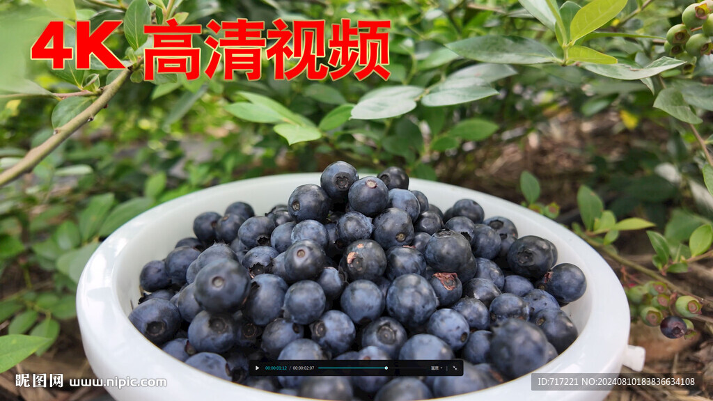 小蓝莓大产业  