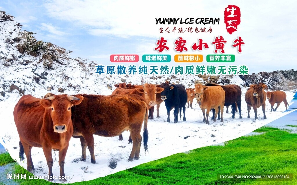 农家小黄牛