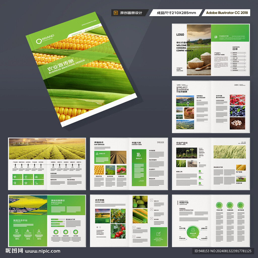 农产品宣传册