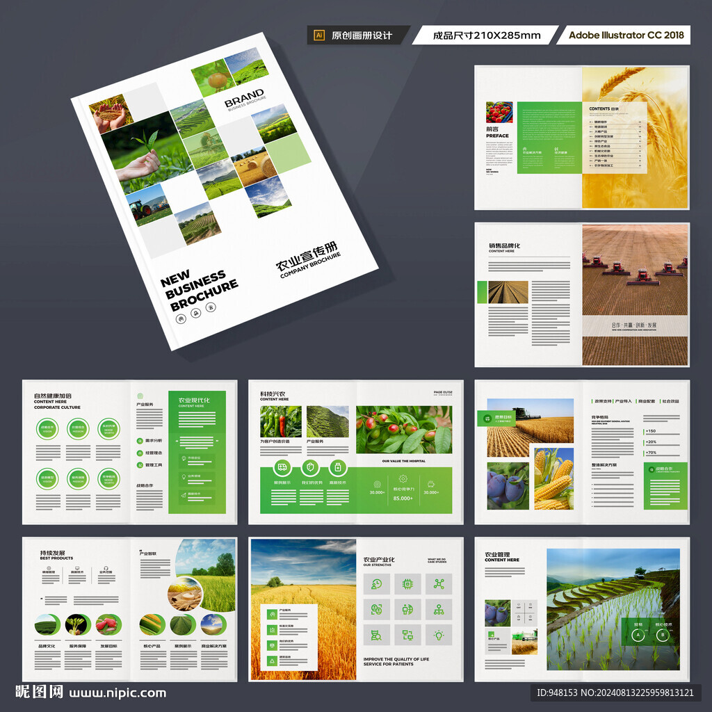 农产品宣传册