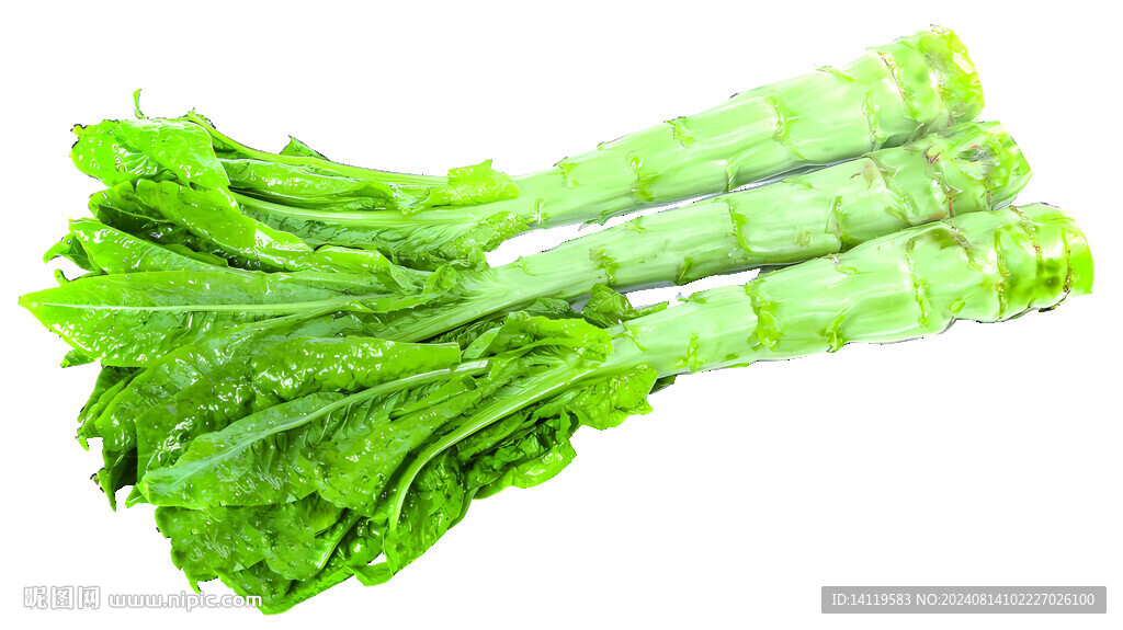 莴苣高清图