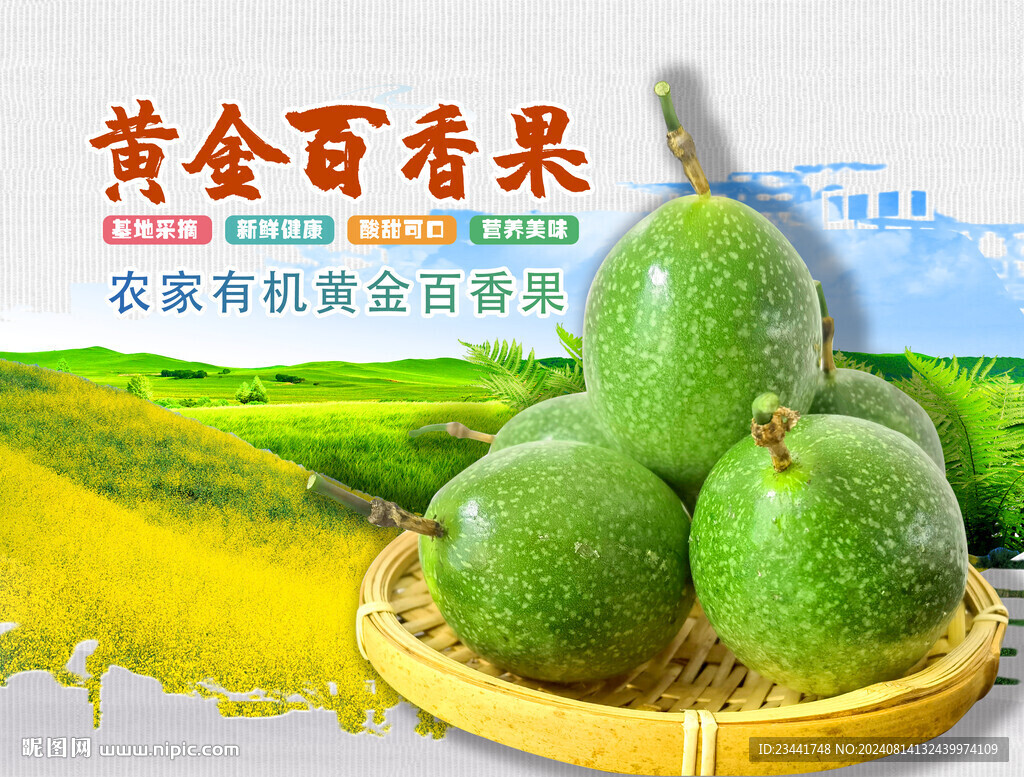 黄色百香果  