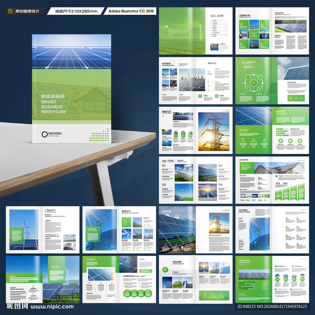 新能源宣传册