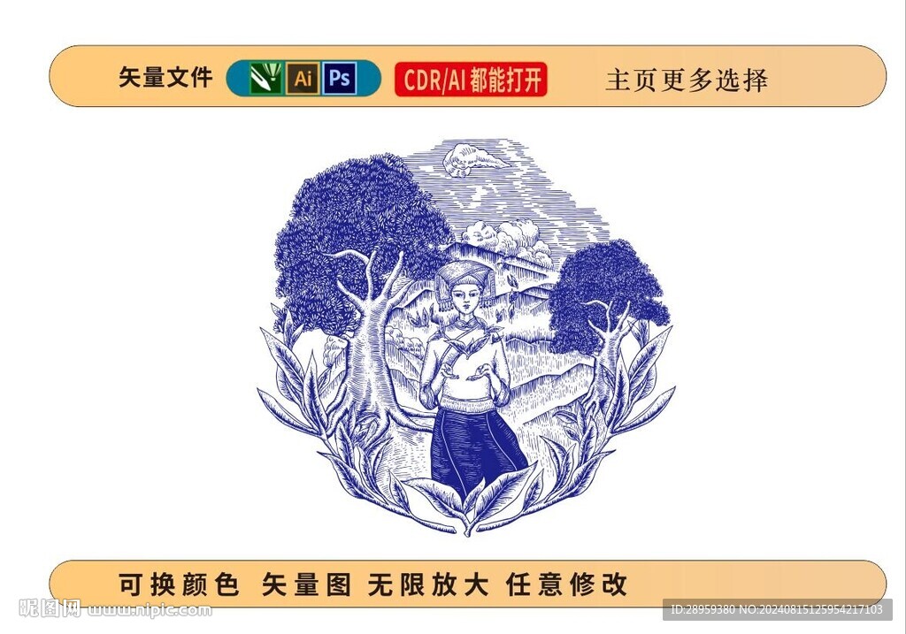 采茶女茶叶包装图案插画