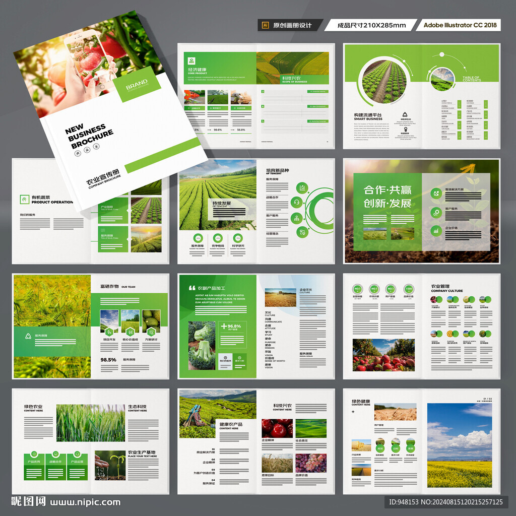 农产品宣传册