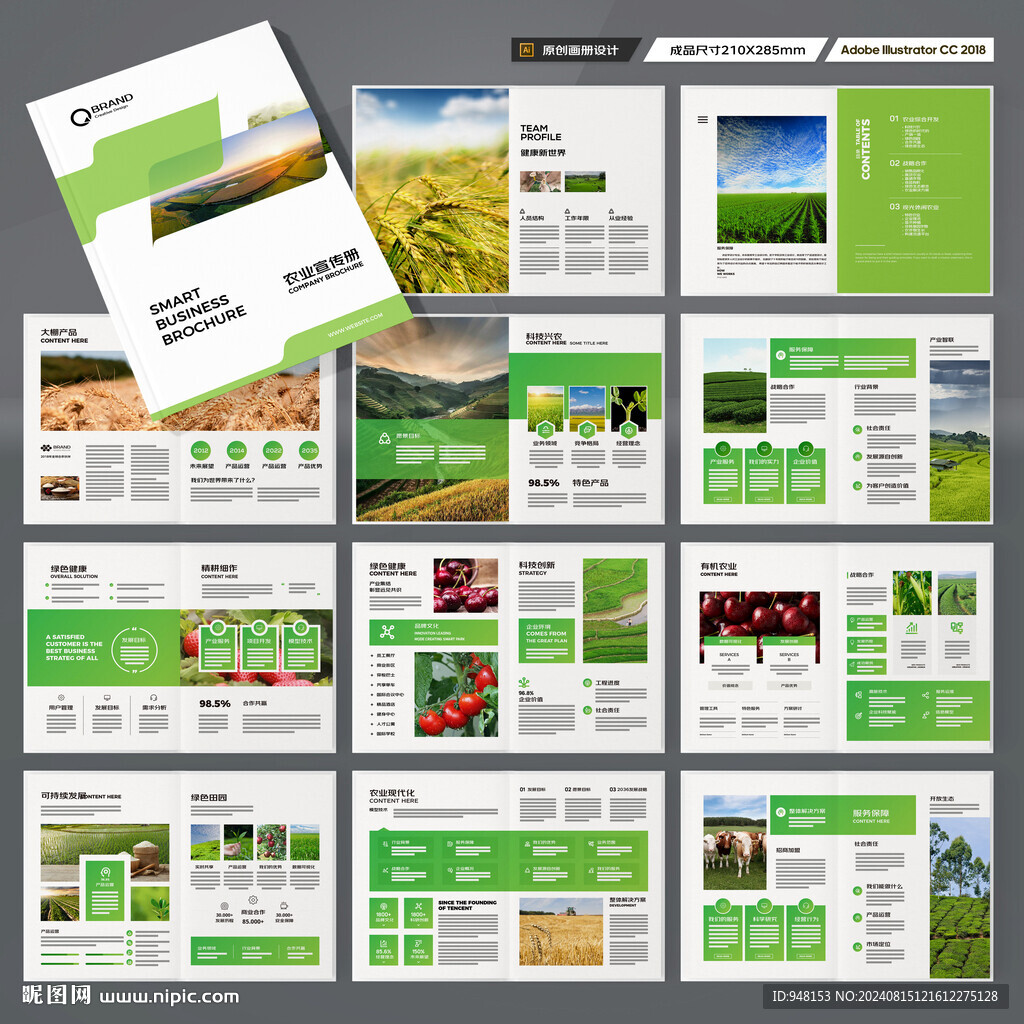 农产品宣传册