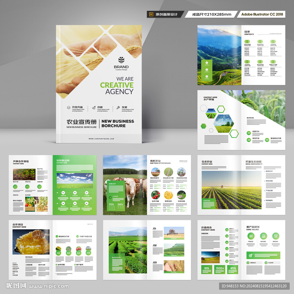 农业合作社画册