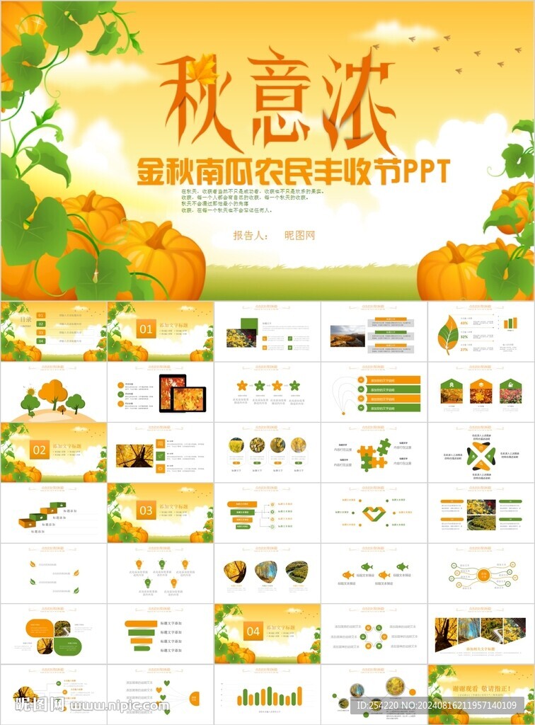秋天金秋农业产品农场水稻小麦